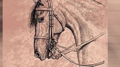 Kederli bir coğrafyanın düşündüren dokunaklı romanı: Heder Ağacı