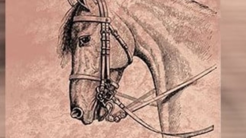 Kederli bir coğrafyanın düşündüren dokunaklı romanı: Heder Ağacı