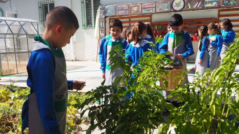 Türkiye'nin ilk agro kütüphanesi, uluslararası ödüle aday