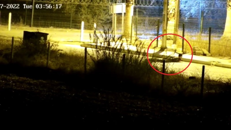 Mersin'de polis evine saldıran teröristin anne ve babası gözaltına alındı