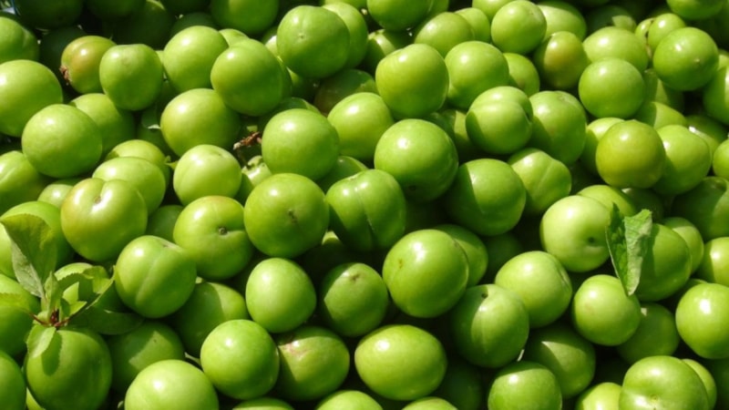 Eriğin faydaları nelerdir? Erik neye iyi gelir?