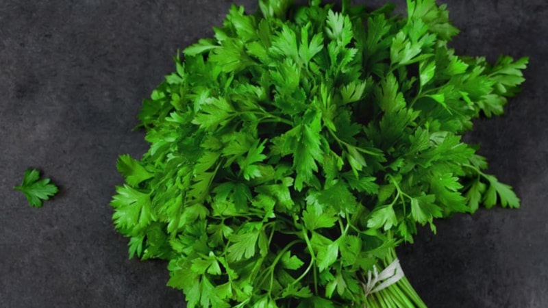 Maydanozun faydaları nelerdir? Maydanoz nelere iyi gelir?