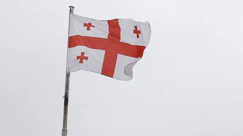 Gürcistan'da başbakan ile cumhurbaşkanı arasında veto krizi