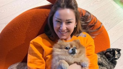 Başıboş köpeklerle ilgili yapılacak düzenleme Pınar Altuğ'u rahatsız etti