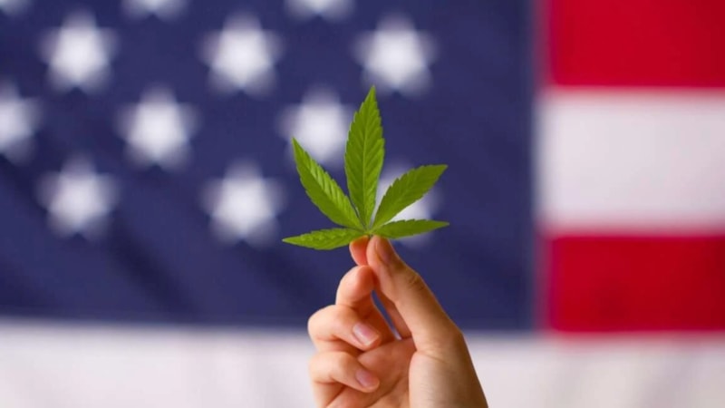 ABD'de günlük esrar kullanımı günlük içki tüketimini geçti