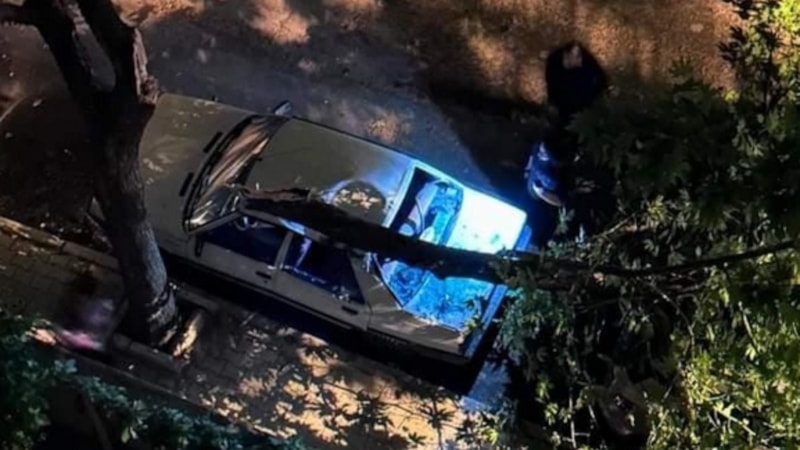 Elazığ’da fırtınanın etkisiyle araçların üzerine ağaç devrildi