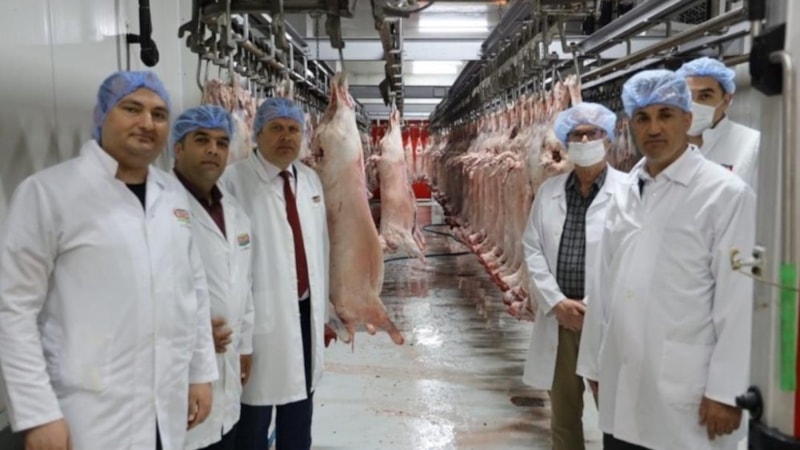 Tarım Bakanlığı'nın Kurban Bayramı mesaisi: Mezbahalar denetleniyor