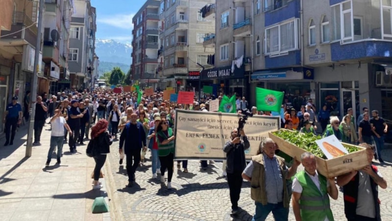 Rize'de çay fiyatı protestosu: Tabuta doldurdular