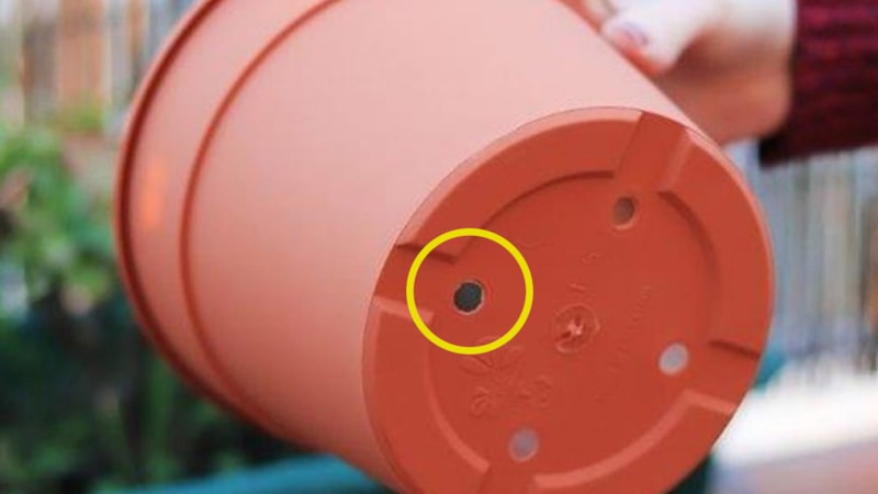 Saksıların altında bulunan bu delikler bakın ne işe yarıyormuş…