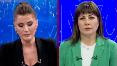 Başıboş sokak köpekleriyle ilgili canlı yayında verilen örnekler şaşkına çevirdi