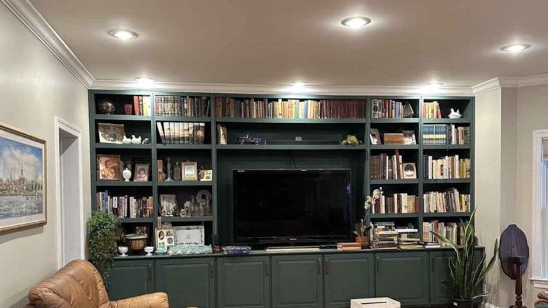 Üstün zeka oyunu: Odadaki gizli kediyi yalnızca ajanlar 9 saniyede tespit edebiliyor