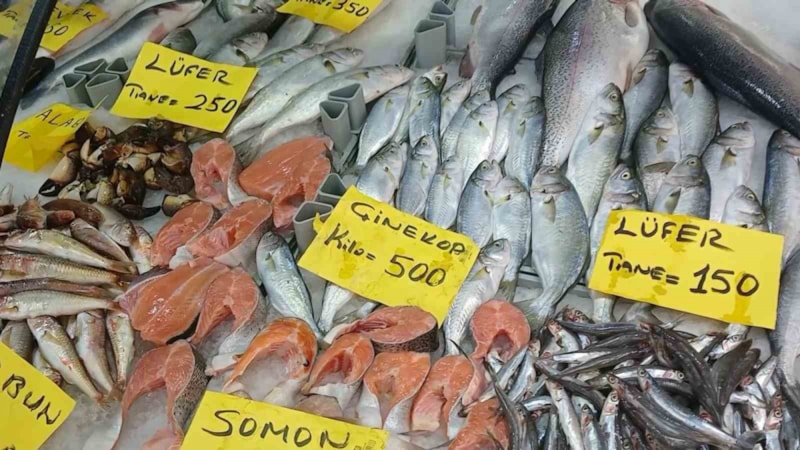 Düzce’de Kurban Bayramı öncesinde balık fiyatları yükseldi