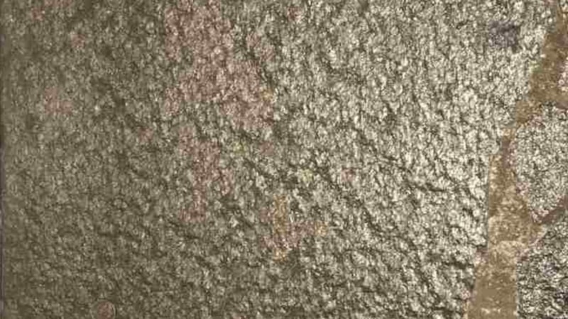 IQ testi: Yerdeki kayıp parayı 7 saniyede bulan, sivri zekalı sayılıyor! Süreniz başladı…