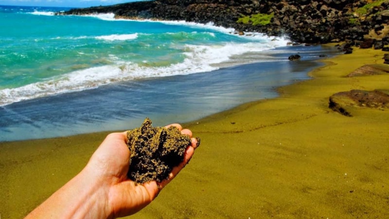 Plajlardaki kumlar bakın aslında nereden geliyormuş