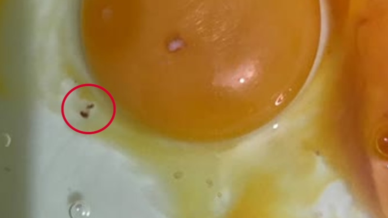 Yumurtanın beyazındaki bu leke bakın neyin işaretiymiş…