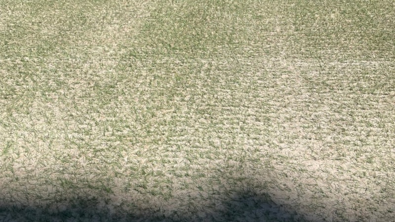 Şükrü Saraçoğlu Stadyumu'nda zeminin kötü gözükmesinin sebebi