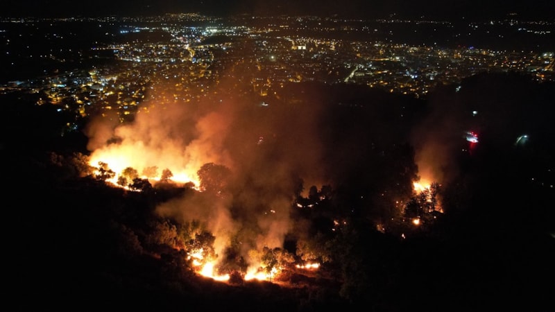İzmir'de çıkan yangında beş dönümlük zeytinlik alan zarar gördü