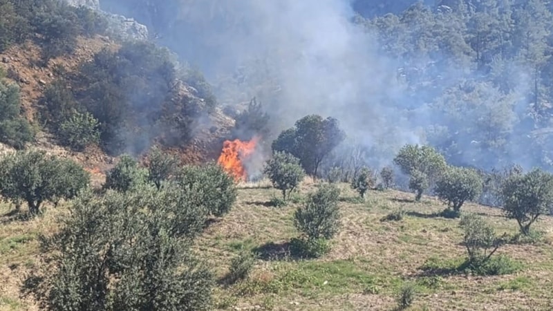 Mersin'de ormanlık alanda çıkan yangın kontrol altına alındı