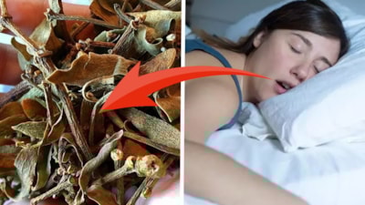 Her gece kaynatıp 1 bardak için, horlamaya son verin