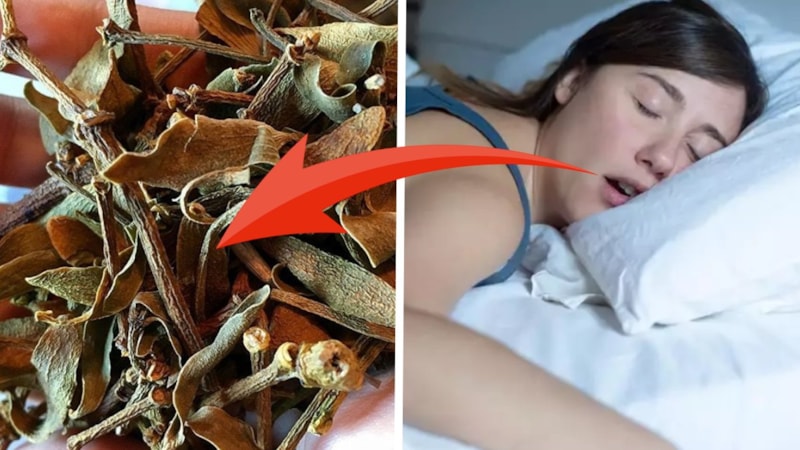 Her gece kaynatıp 1 bardak için, horlamaya son verin