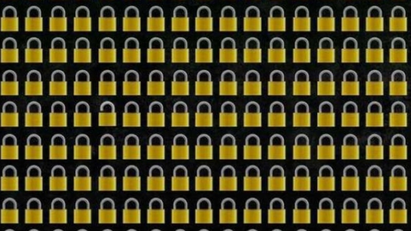 Zeka Oyunu: Açık kilidi 11 saniyede bulan kuzgun zekalı sayılıyor