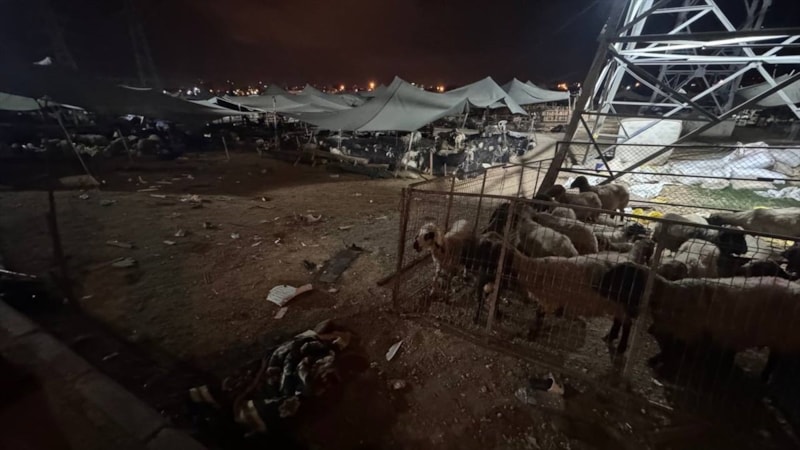 Mersin'de otomobilin hayvan pazarına girmesi sonucu 8 kişi yaralandı