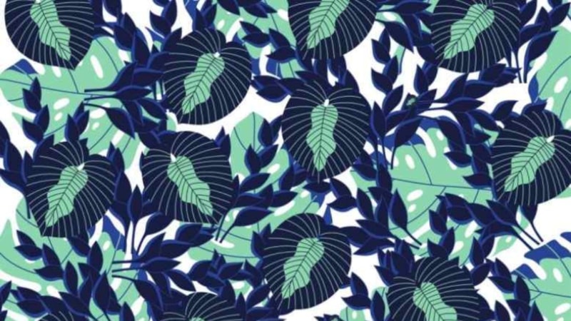 IQ'nuzu test edin: Resimdeki gizli tırtıl nerede? 8...7...6...5...4...