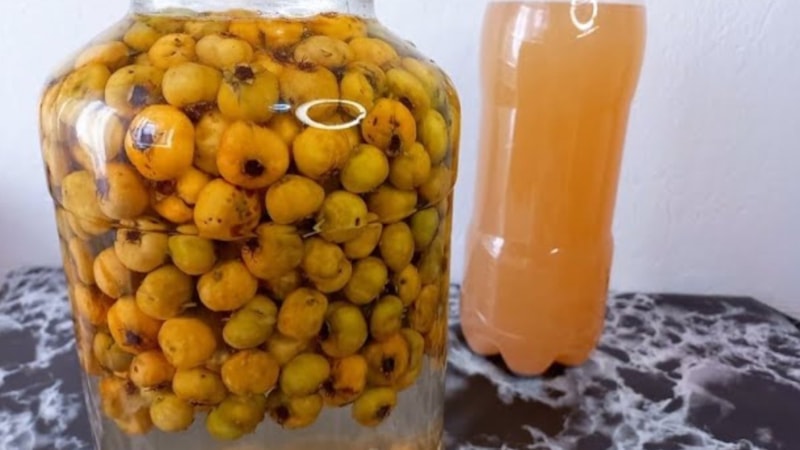 Sabah akşam bir bardak tüketin, ne sıkıntı kalıyor ne de sıcak basıyor...