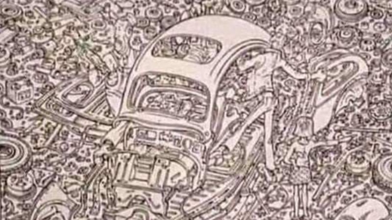 Resimli IQ bulmaca: Gizli kediyi 8 saniyede bulabilir misiniz? Zaman işliyor…