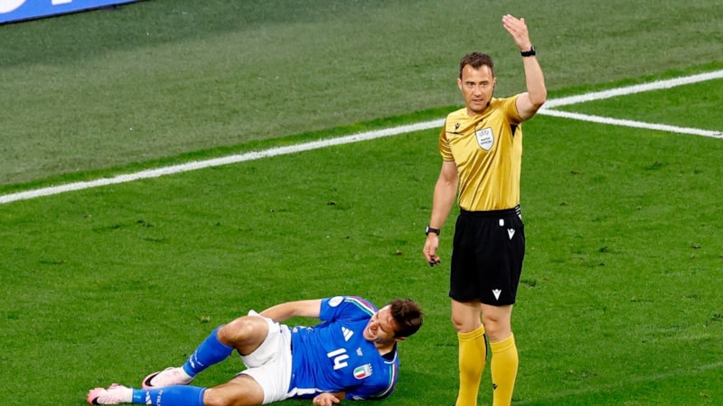 Türkiye - Portekiz maçını Felix Zwayer yönetecek