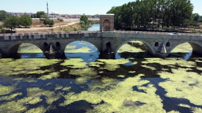 Edirne'de üzeri yosun tutan Tunca Nehri'nde debi bir ayda yarıya düştü