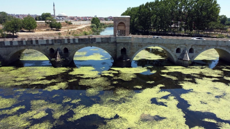 Edirne'de üzeri yosun tutan Tunca Nehri'nde debi bir ayda yarıya düştü