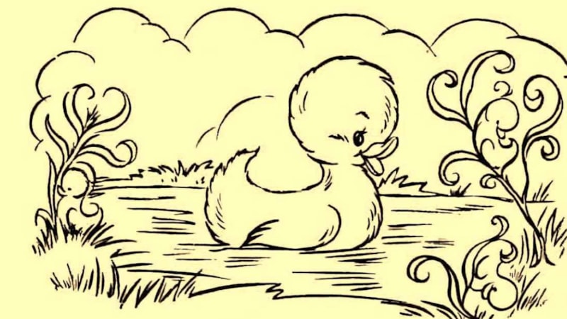 Deneyenlerin %1’i bulabildi! Sadece dahiler resimdeki 3 ördeği 7 saniyede tespit edebilir