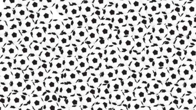 IQ Testi: Üstün görsel güçlerinizi kullanın, saklanan pandayı bulun...