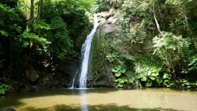 İstanbul'un yanı başındaki saklı cennet
