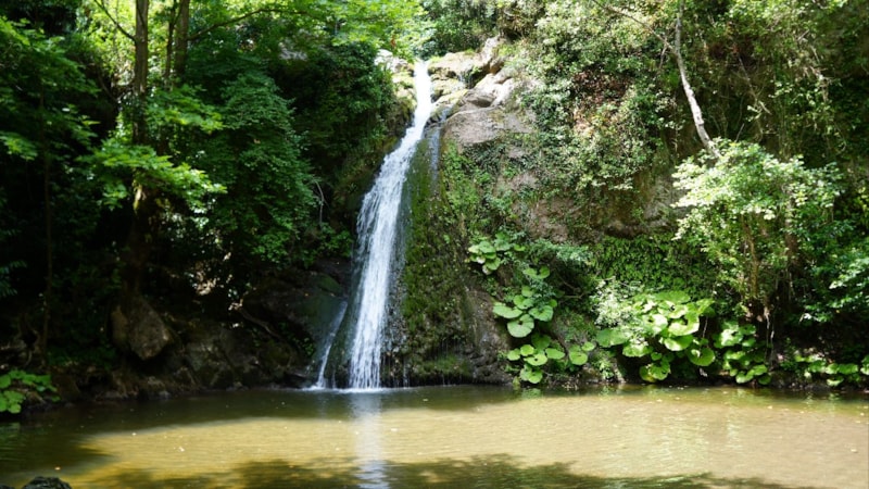 İstanbul'un yanı başındaki saklı cennet