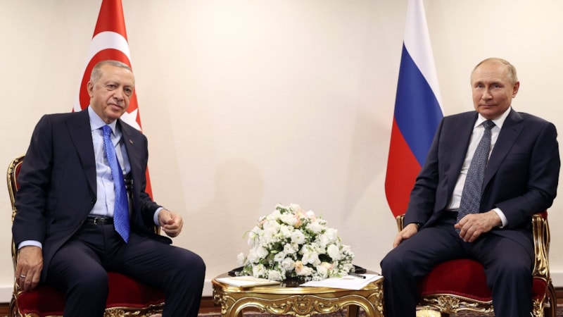 Cumhurbaşkanı Erdoğan, Rus mevkidaşı Vladimir Putin ile görüştü