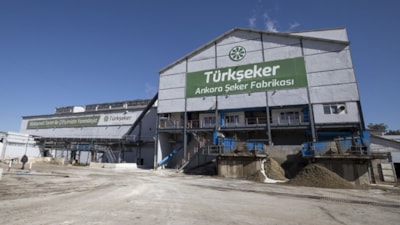 Dışa bağımlılığı biterecek adım: Yerli şeker pancarı tohumları ekilecek