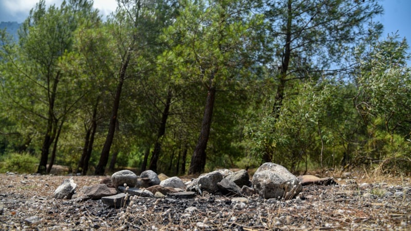 Antalya'da ateş yakmanın yasak olduğu ormanlarda mangal yapıldı