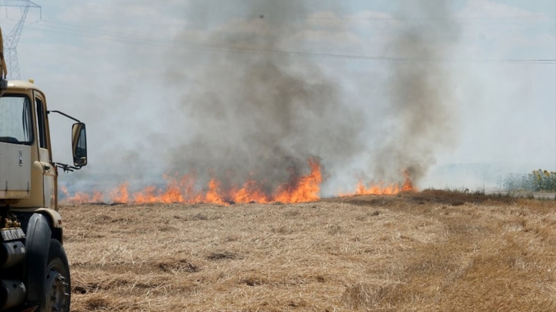 Anız yangınları, ormanları tehdit ediyor