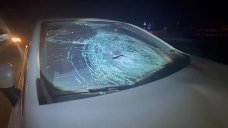 Bursa'da otomobilin çarptığı 10 yaşındaki çocuk hayatını kaybetti