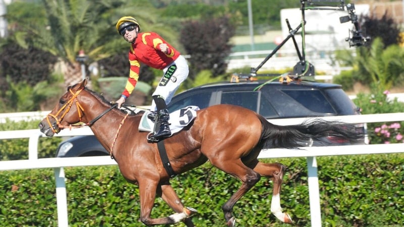 Gazi Koşusu şampiyonu Akın Sözen, Arda Turan'ın takım arkadaşı çıktı