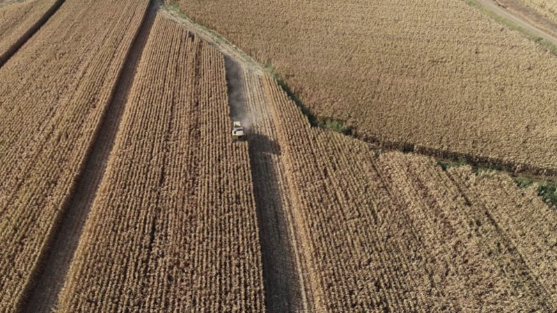 İbrahim Yumaklı açıkladı: Tarımsal hasılada Avrupa birincisiyiz