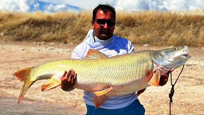 Elazığ'da amatör balıkçı 39 kilogramlık turna balığı yakaladı