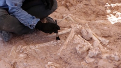 Sadece filmlerde görüyorduk! Korkunç bir tür ortaya çıktı: Tam 100 milyon yıl önce…