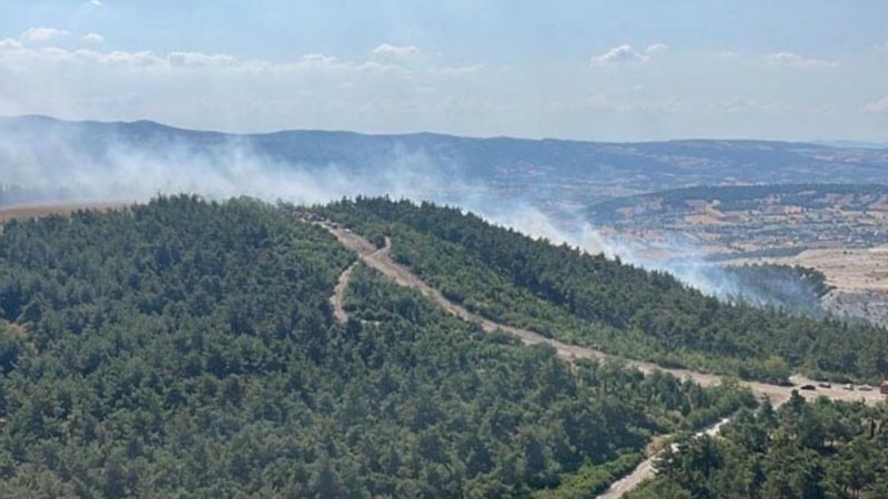 Balıkesir'de 2 ilçede orman yangını