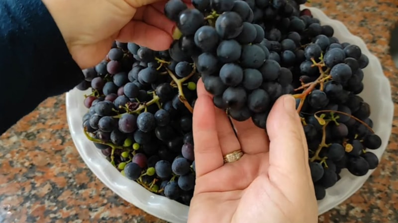 Çürümeye son! Üzümü böyle saklayın, haftalarca bozulmuyor