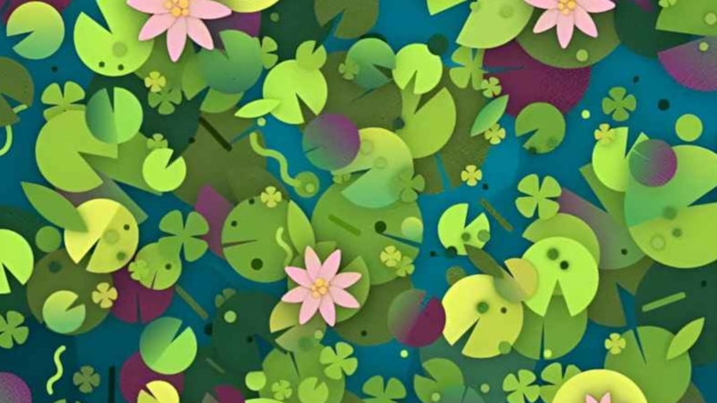 Dahi insanların sadece %’ü bulabiliyor! Göletteki kaplumbağayı 8 saniyede tespit edin