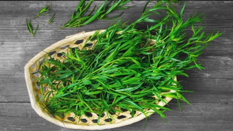 Tarhun nedir? Tarhunun faydaları nelerdir?