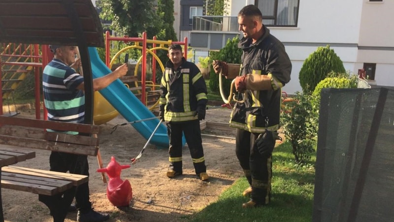 Çocuk parkına yılan girdi